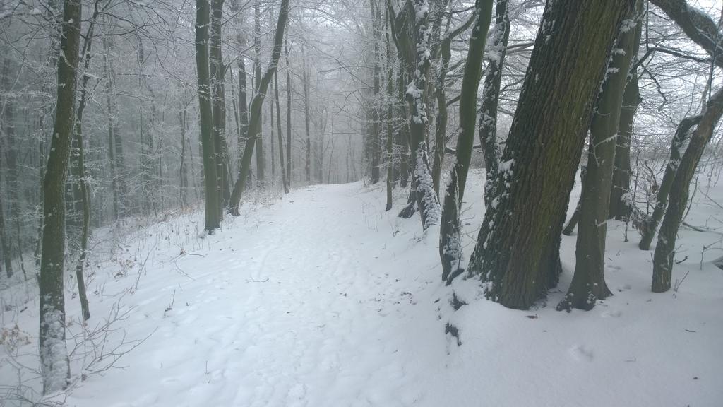 Nad Punkvou * Techov